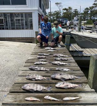 Sheepshead Fishing paradise found in the OBX